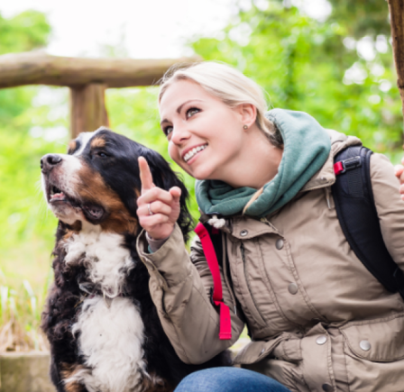 <strong><span class="NormalTextRun SCXW61926254 BCX8">OFFA’S DYKE PATH NATIONAL TRAIL</span></strong>