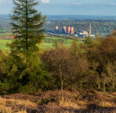 <strong><span class="NormalTextRun SCXW210855231 BCX8">THE WREKIN</span></strong>